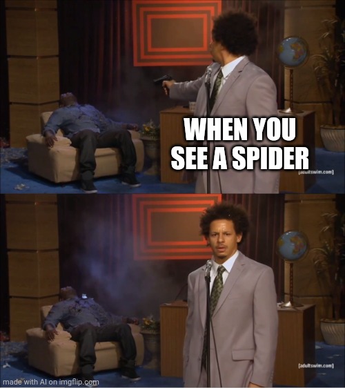 When You See a Spider | WHEN YOU SEE A SPIDER | image tagged in memes,who killed hannibal | made w/ Imgflip meme maker