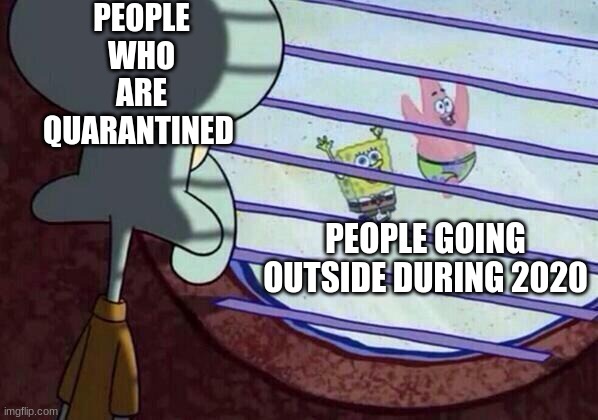 funni | PEOPLE WHO ARE QUARANTINED; PEOPLE GOING OUTSIDE DURING 2020 | image tagged in squidward window | made w/ Imgflip meme maker