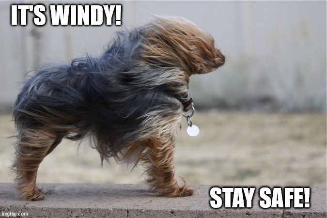 windy day Memes & GIFs - Imgflip