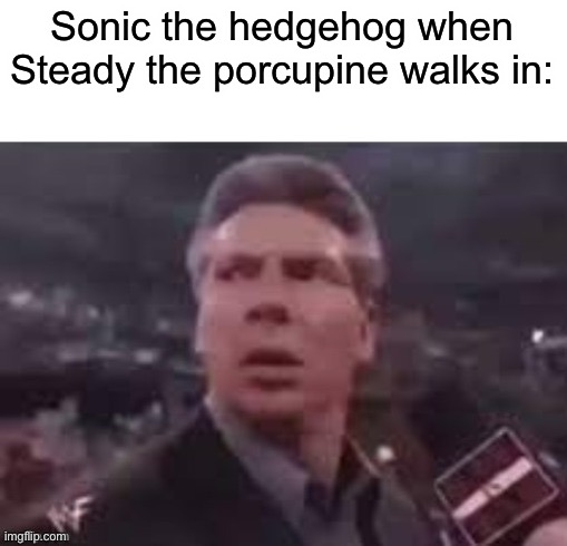x when x walks in | Sonic the hedgehog when Steady the porcupine walks in: | image tagged in x when x walks in | made w/ Imgflip meme maker