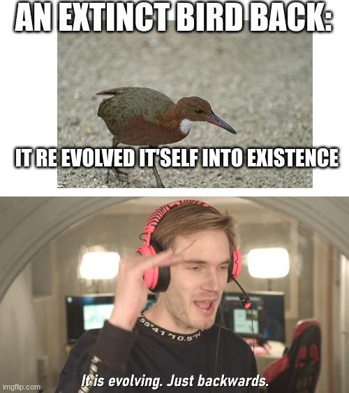 I bet it died because it wasn't evolved well enough | AN EXTINCT BIRD BACK:; IT RE EVOLVED IT'SELF INTO EXISTENCE | image tagged in its evolving just backwards | made w/ Imgflip meme maker