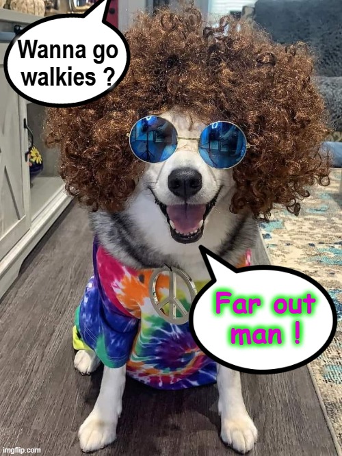 Walkies ? | Wanna go
walkies ? Far out
man ! | image tagged in atomic farts | made w/ Imgflip meme maker