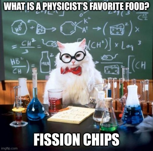 bad puns are back! |  WHAT IS A PHYSICIST’S FAVORITE FOOD? FISSION CHIPS | image tagged in memes,chemistry cat | made w/ Imgflip meme maker