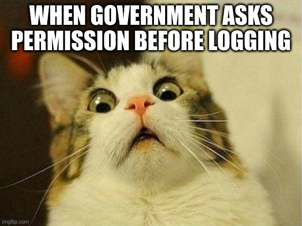 Enviros be like: | WHEN GOVERNMENT ASKS PERMISSION BEFORE LOGGING | image tagged in memes,scared cat | made w/ Imgflip meme maker