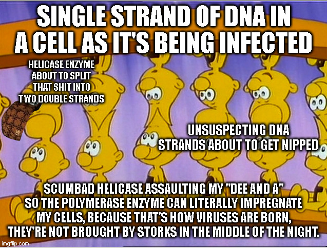 Managed to dumb it down even further. Thanks for making this possible, Mr. Barillé. |  SINGLE STRAND OF DNA IN A CELL AS IT'S BEING INFECTED; HELICASE ENZYME ABOUT TO SPLIT THAT SHIT INTO TWO DOUBLE STRANDS; UNSUSPECTING DNA STRANDS ABOUT TO GET NIPPED; SCUMBAD HELICASE ASSAULTING MY "DEE AND A" SO THE POLYMERASE ENZYME CAN LITERALLY IMPREGNATE MY CELLS, BECAUSE THAT'S HOW VIRUSES ARE BORN, THEY'RE NOT BROUGHT BY STORKS IN THE MIDDLE OF THE NIGHT. | made w/ Imgflip meme maker