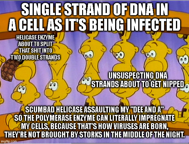 Managed to dumb it down even further. Thanks for making this possible, Mr. Barillé. | SINGLE STRAND OF DNA IN A CELL AS IT'S BEING INFECTED; HELICASE ENZYME ABOUT TO SPLIT THAT SHIT INTO TWO DOUBLE STRANDS; UNSUSPECTING DNA STRANDS ABOUT TO GET NIPPED; SCUMBAD HELICASE ASSAULTING MY "DEE AND A" SO THE POLYMERASE ENZYME CAN LITERALLY IMPREGNATE MY CELLS, BECAUSE THAT'S HOW VIRUSES ARE BORN, THEY'RE NOT BROUGHT BY STORKS IN THE MIDDLE OF THE NIGHT. | made w/ Imgflip meme maker