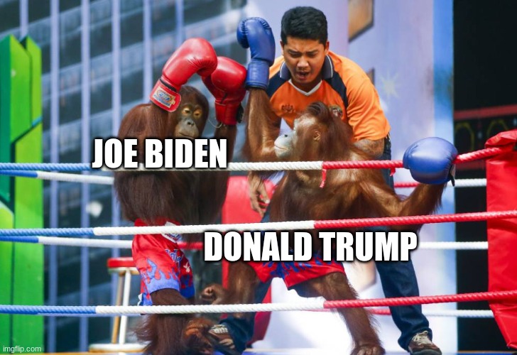 ok | JOE BIDEN; DONALD TRUMP | image tagged in orangutan boxing | made w/ Imgflip meme maker