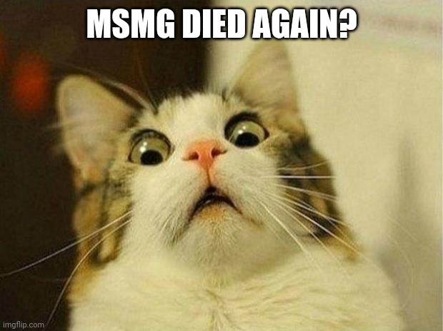 Scared Cat | MSMG DIED AGAIN? | image tagged in memes,scared cat | made w/ Imgflip meme maker