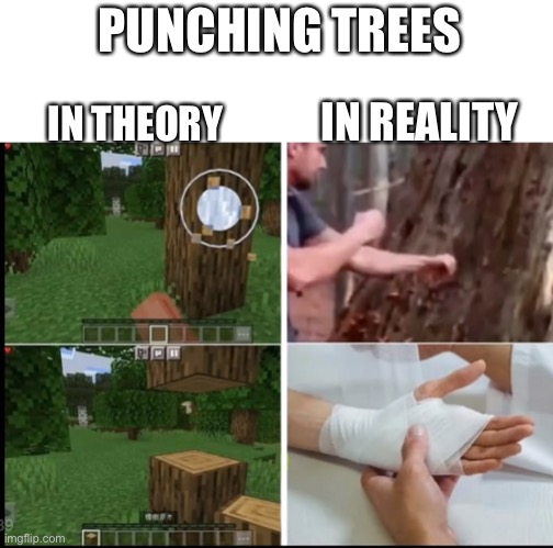 PUNCHING TREES; IN REALITY; IN THEORY | image tagged in minecraft,funny memes,memes | made w/ Imgflip meme maker