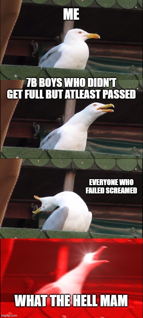 This is very fine lol | ME; 7B BOYS WHO DIDN'T GET FULL BUT ATLEAST PASSED; EVERYONE WHO FAILED SCREAMED; WHAT THE HELL MAM | image tagged in memes,inhaling seagull | made w/ Imgflip meme maker