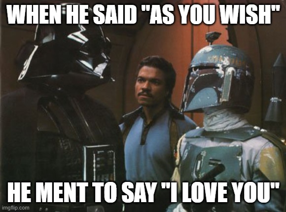 memes | WHEN HE SAID "AS YOU WISH"; HE MENT TO SAY "I LOVE YOU" | image tagged in funny | made w/ Imgflip meme maker