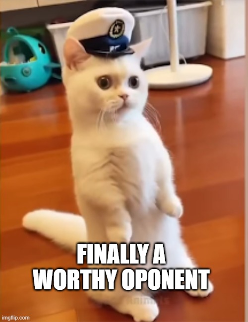 commander | FINALLY A WORTHY OPONENT | image tagged in commander | made w/ Imgflip meme maker