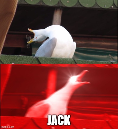 Screaming bird | JACK | image tagged in screaming bird | made w/ Imgflip meme maker