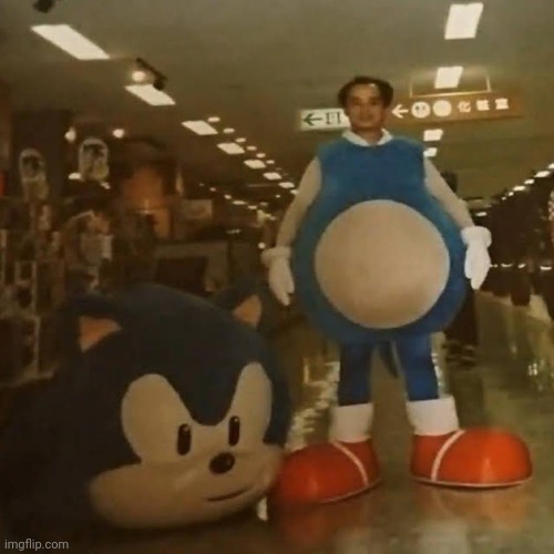 Cursed Images (Part 6) | image tagged in sonic the hedgehog,cursed image,funny | made w/ Imgflip meme maker