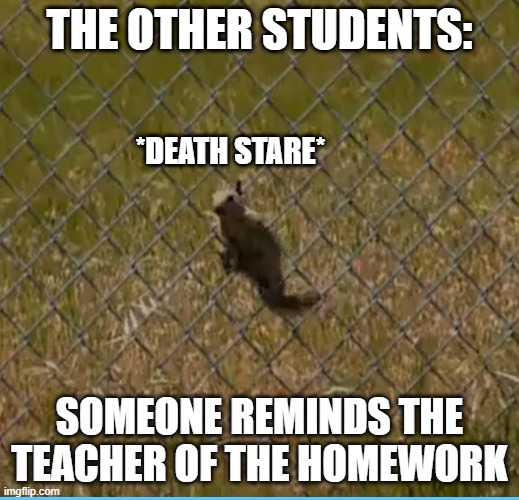 THE OTHER STUDENTS:; *DEATH STARE*; SOMEONE REMINDS THE TEACHER OF THE HOMEWORK | image tagged in school meme | made w/ Imgflip meme maker