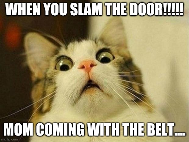 we can all relate | WHEN YOU SLAM THE DOOR!!!!! MOM COMING WITH THE BELT.... | image tagged in memes,scared cat | made w/ Imgflip meme maker