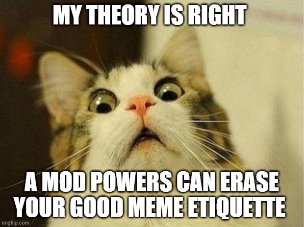:O | MY THEORY IS RIGHT; A MOD POWERS CAN ERASE YOUR GOOD MEME ETIQUETTE | image tagged in memes,scared cat,funny,msmg | made w/ Imgflip meme maker