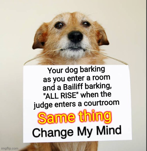 My Dog Gets Me | Your dog barking as you enter a room and a Bailiff barking, "ALL RISE" when the judge enters a courtroom; Same thing | image tagged in change my mind dog,memes,my dog,police dogs,my dog is my wingman,my dog gets me | made w/ Imgflip meme maker