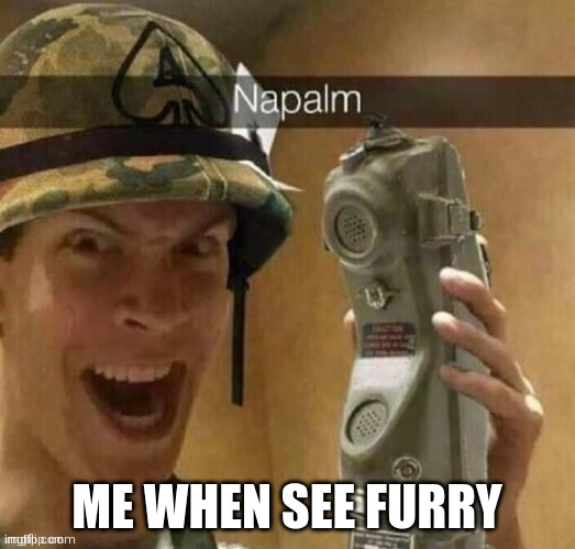 burn them all | ME WHEN SEE FURRY | image tagged in nalpalm | made w/ Imgflip meme maker