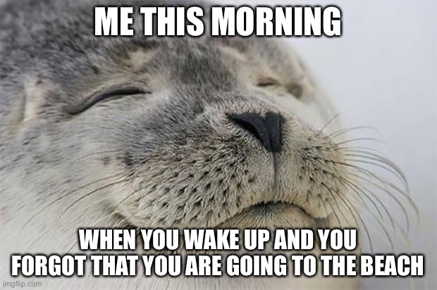 I get to go to the beach today! | ME THIS MORNING; WHEN YOU WAKE UP AND YOU FORGOT THAT YOU ARE GOING TO THE BEACH | image tagged in satisfied seal,beach | made w/ Imgflip meme maker