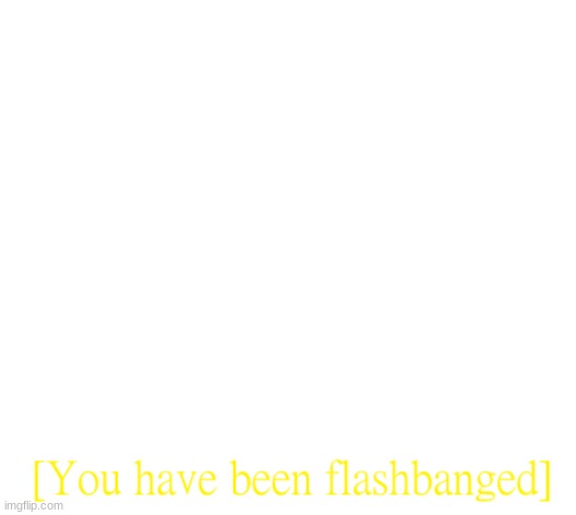 you have been flashbanged | image tagged in you have been flashbanged | made w/ Imgflip meme maker