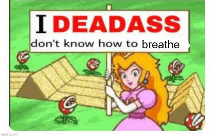 I Deadass Don't Know How to Respond | breathe | image tagged in i deadass don't know how to respond | made w/ Imgflip meme maker