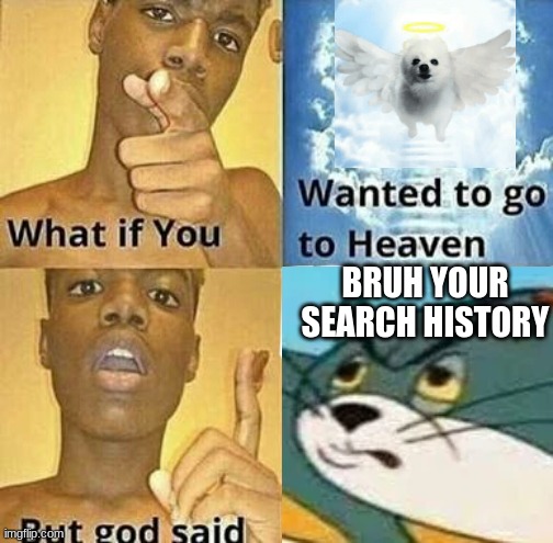 man o man | BRUH YOUR SEARCH HISTORY | image tagged in what if you wanted to go to heaven | made w/ Imgflip meme maker