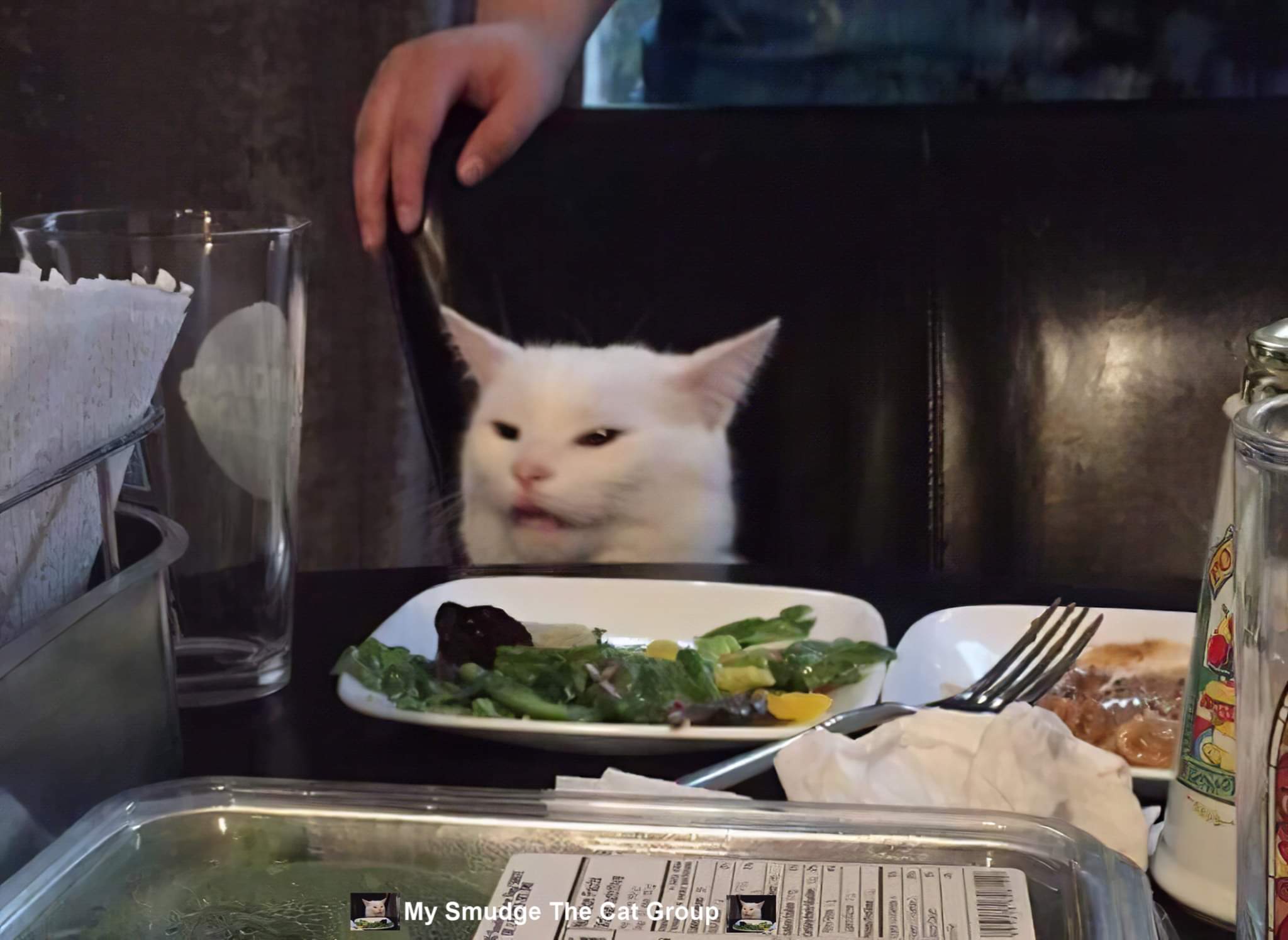 High Quality My smudge the cat Blank Meme Template