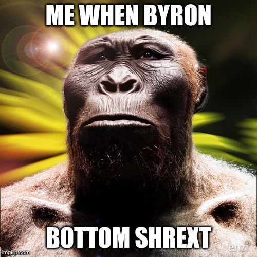 JOE BYJIN | ME WHEN BYRON; BOTTOM SHREXT | image tagged in sussy,bussy sucka,robust | made w/ Imgflip meme maker