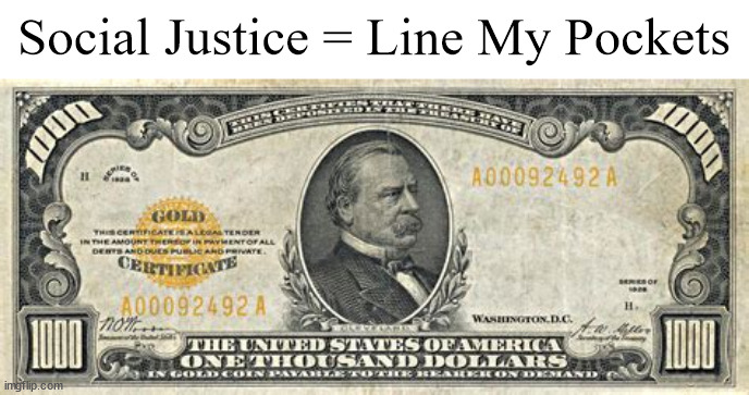 Social Justice | Social Justice = Line My Pockets | image tagged in thousand dollar bill | made w/ Imgflip meme maker