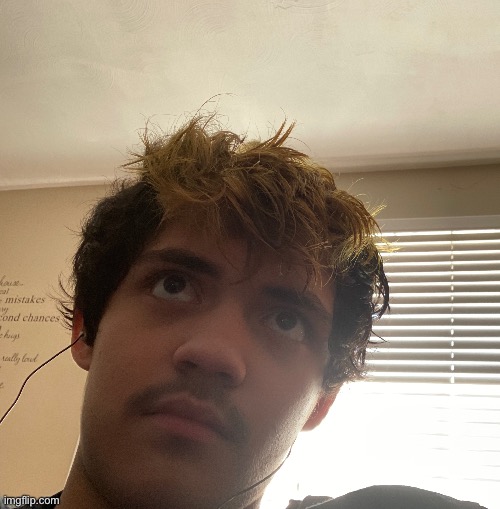 Damn my hair looks bad | image tagged in philosoraptor | made w/ Imgflip meme maker