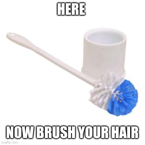 toilet brush | HERE NOW BRUSH YOUR HAIR | image tagged in toilet brush | made w/ Imgflip meme maker