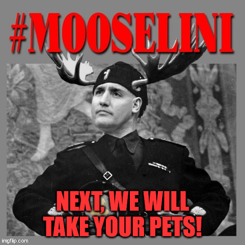 What more can Trudeau do to beat you into submission? | NEXT, WE WILL TAKE YOUR PETS! | image tagged in trudeau,dictator,injustice | made w/ Imgflip meme maker