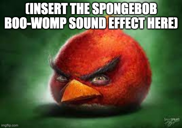 Realistic Red Angry Birds | (INSERT THE SPONGEBOB BOO-WOMP SOUND EFFECT HERE) | image tagged in realistic red angry birds | made w/ Imgflip meme maker