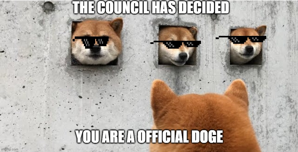it is official | THE COUNCIL HAS DECIDED; YOU ARE A OFFICIAL DOGE | image tagged in the doge council | made w/ Imgflip meme maker