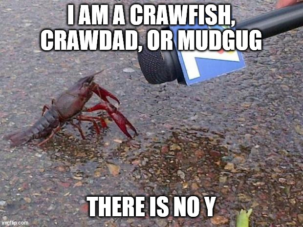 Crawfish Interview | I AM A CRAWFISH, CRAWDAD, OR MUDGUG; THERE IS NO Y | image tagged in crawfish interview | made w/ Imgflip meme maker
