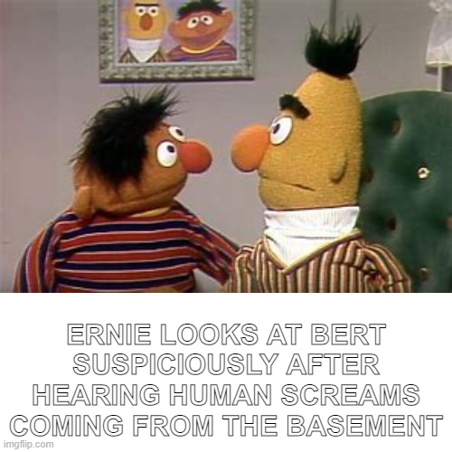 Hmmmm . . . | ERNIE LOOKS AT BERT SUSPICIOUSLY AFTER HEARING HUMAN SCREAMS COMING FROM THE BASEMENT | image tagged in cursed,dark humor,bert and ernie,meme,hold up | made w/ Imgflip meme maker