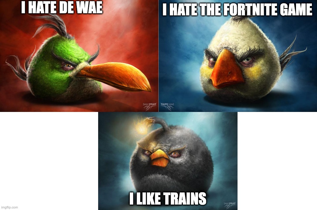 Angry Birds Realistic | I HATE DE WAE; I HATE THE FORTNITE GAME; I LIKE TRAINS | image tagged in angry birds realistic | made w/ Imgflip meme maker