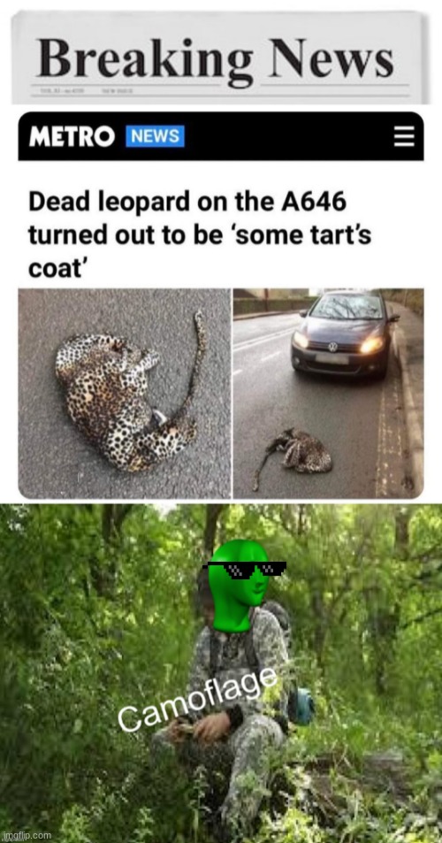camoflage | image tagged in repost | made w/ Imgflip meme maker