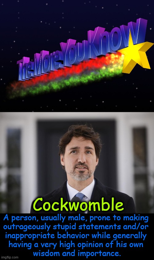 One of the Most Annoying Little B*tches On Earth | Cockwomble; A person, usually male, prone to making 
outrageously stupid statements and/or 
inappropriate behavior while generally 
having a very high opinion of his own 
wisdom and importance. | image tagged in politics,justin trudeau,canada,annoying,liberal,commie | made w/ Imgflip meme maker