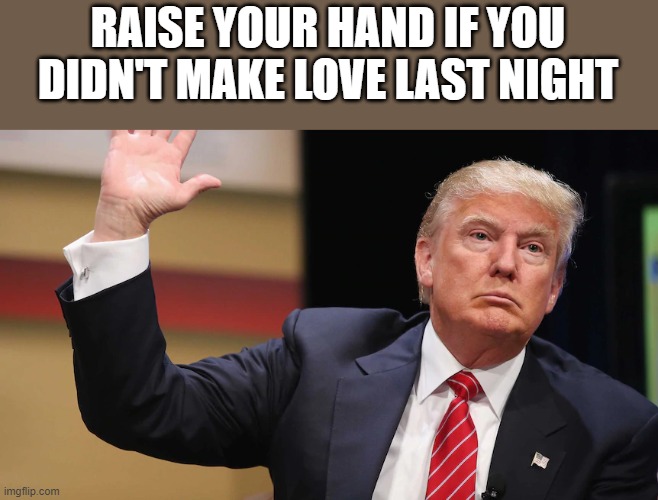 Raise Your Hand If You Didn't Make Love Last Night | RAISE YOUR HAND IF YOU DIDN'T MAKE LOVE LAST NIGHT | image tagged in donald trump,donald trump memes,make love,raise your hand,funny,memes | made w/ Imgflip meme maker