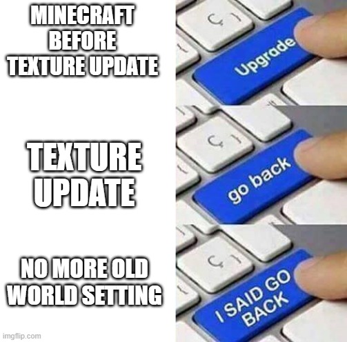 Minecraft updates be like | MINECRAFT BEFORE TEXTURE UPDATE; TEXTURE UPDATE; NO MORE OLD WORLD SETTING | image tagged in i said go back | made w/ Imgflip meme maker