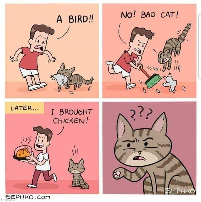 image tagged in comics/cartoons | made w/ Imgflip meme maker