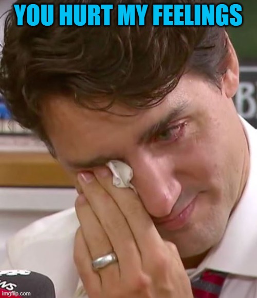 Justin Trudeau Crying | YOU HURT MY FEELINGS | image tagged in justin trudeau crying | made w/ Imgflip meme maker