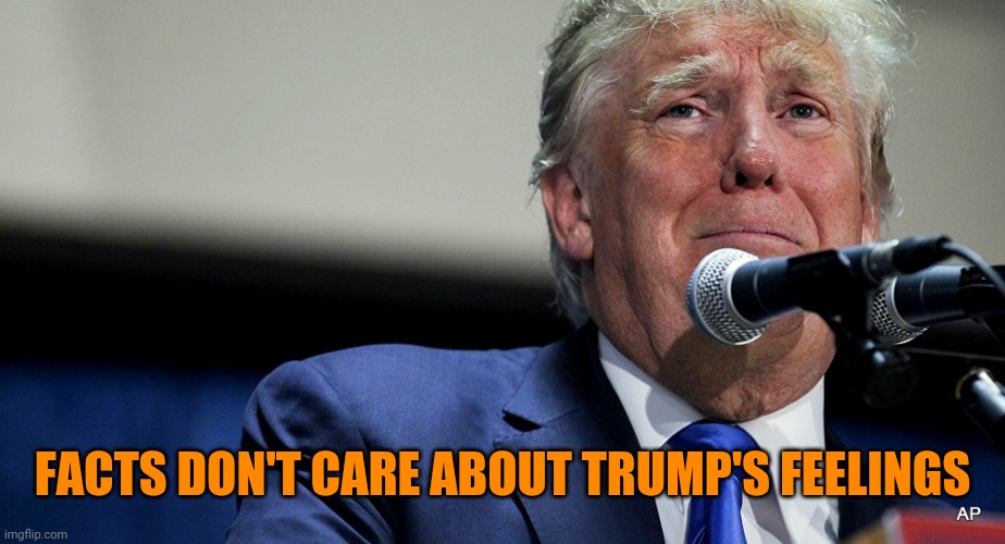 Sad Trump | FACTS DON'T CARE ABOUT TRUMP'S FEELINGS | image tagged in sad trump | made w/ Imgflip meme maker