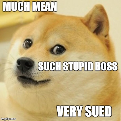 Doge Meme | MUCH MEAN VERY SUED SUCH STUPID BOSS | image tagged in memes,doge | made w/ Imgflip meme maker