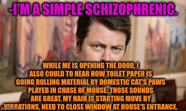 -Scratch at toilet bowl. | -I'M A SIMPLE SCHIZOPHRENIC. WHILE ME IS OPENING THE DOOR, I ALSO COULD TO HEAR HOW TOILET PAPER IS GOING ROLLING MATERIAL BY DOMESTIC CAT'S PAWS PLAYED IN CHASE OF MOUSE: THOSE SOUNDS ARE GREAT, MY HAIR IS STARTING MOVE BY VIBRATIONS, NEED TO CLOSE WINDOW AT HOUSE'S ENTRANCE. | image tagged in i'm a simple man,gollum schizophrenia,ron swanson,mad cat,toilet humor,john candy - closed | made w/ Imgflip meme maker
