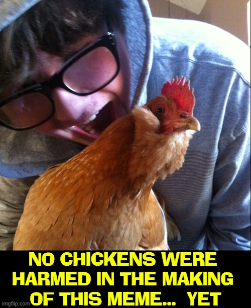 Dear PETA... |  NO CHICKENS WERE 
HARMED IN THE MAKING 
OF THIS MEME...  YET | image tagged in vince vance,chickens,peta,geek,funny animal memes,birds | made w/ Imgflip meme maker