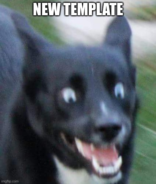 screaming dog | NEW TEMPLATE | image tagged in screaming dog | made w/ Imgflip meme maker