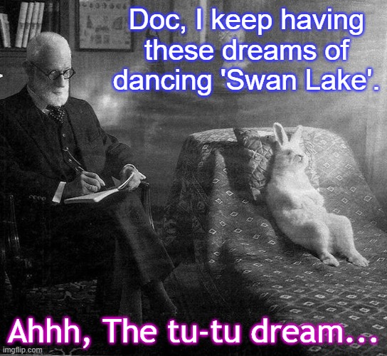 Freud and rabbit | Doc, I keep having these dreams of dancing 'Swan Lake'. Ahhh, The tu-tu dream... | image tagged in freud and rabbit | made w/ Imgflip meme maker